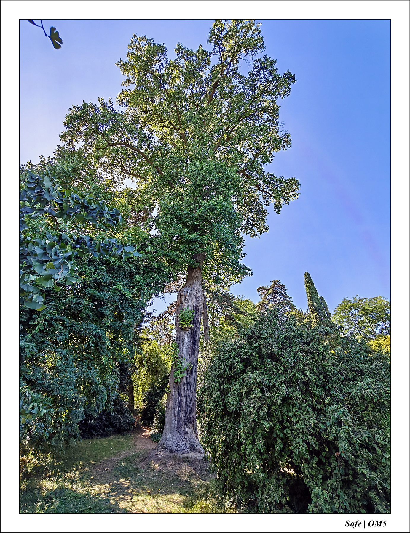 2025 - 08 - Vallée des loups - 30